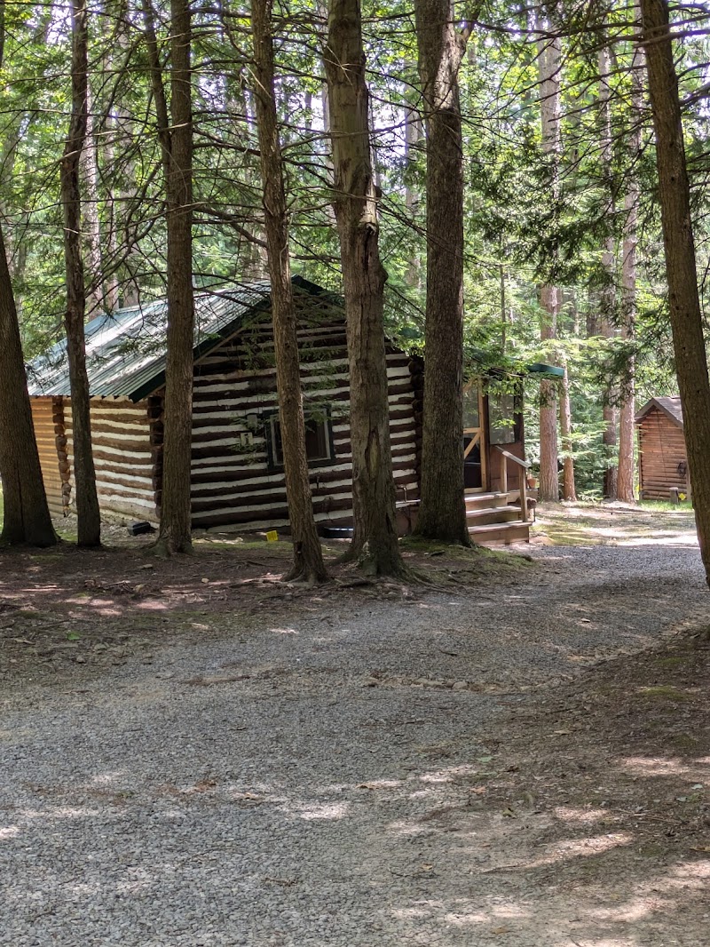 Evergreen Cabins & Mercantile