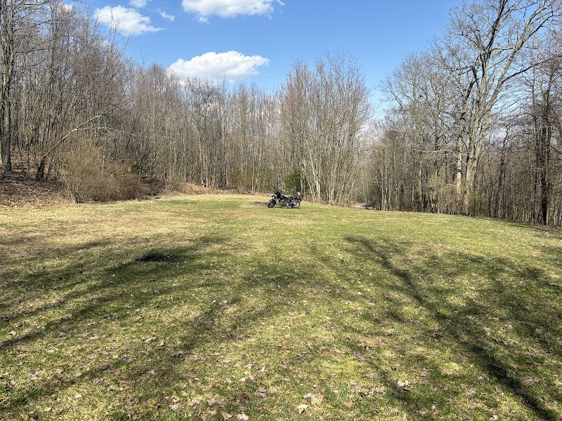 Rothrock State Forest Campsite #6