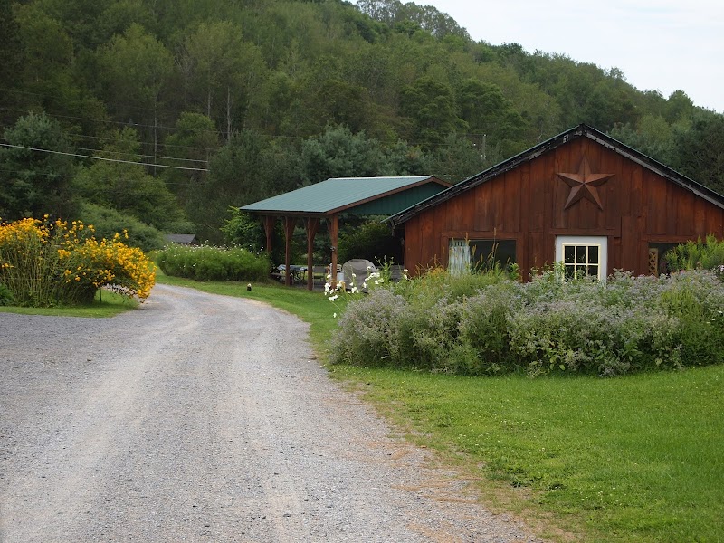 Frosty Hollow Bed & Breakfast