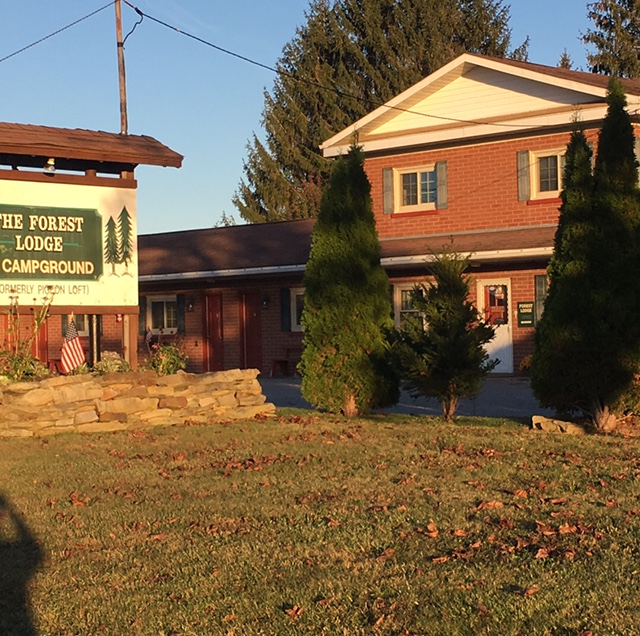 The Forest Lodge & Campground