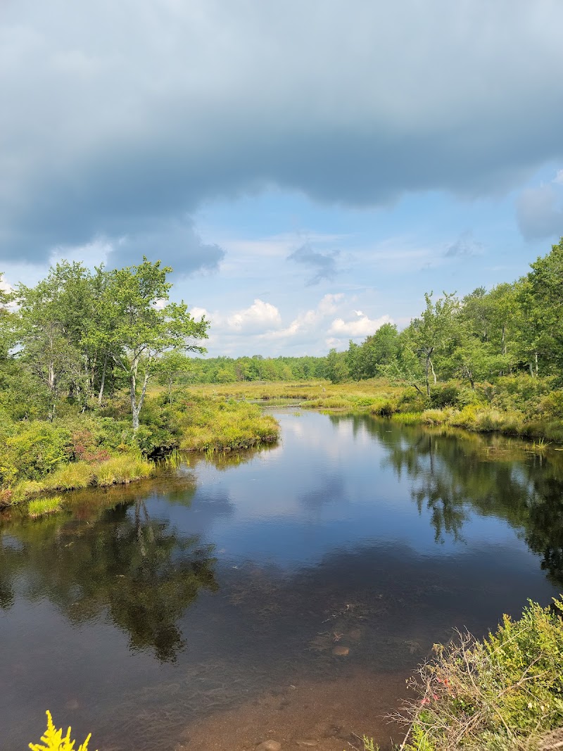 Tobyhanna State Park