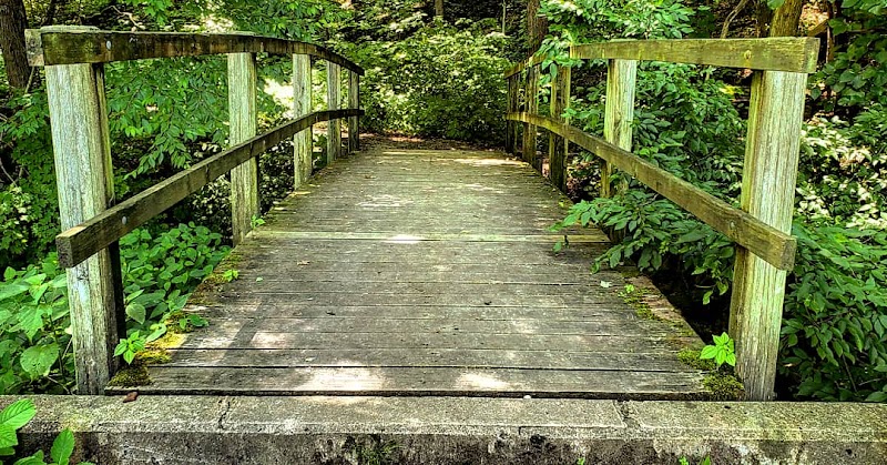 Tionesta Recreation Area Campground