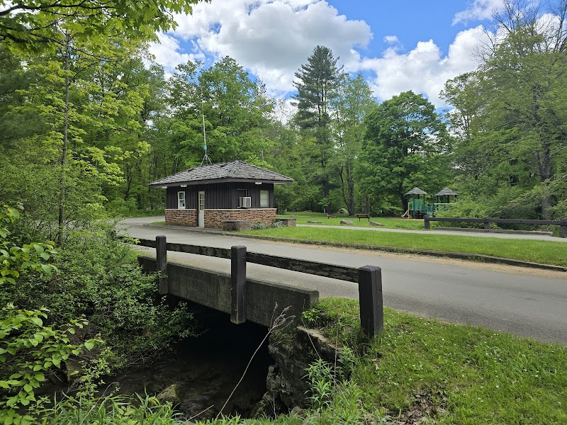 Allegeny State Park - Redhouse Loop Campground
